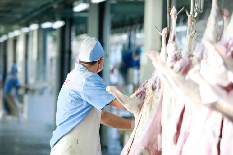 2021 онд 60 сая ам.доллар буюу 171 орчим тэрбум төгрөгийн мах махан бүтээгдэхүүн экспортолжээ