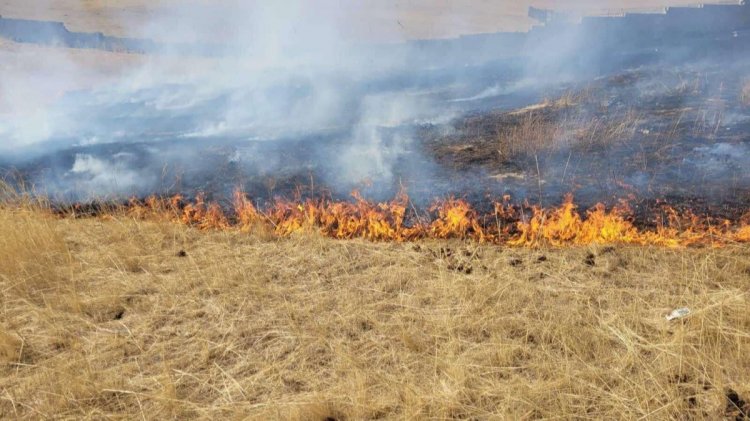 Нийслэлд он гарснаас хойш шар өвсний түймэр 11 дэхээ гараад байна
