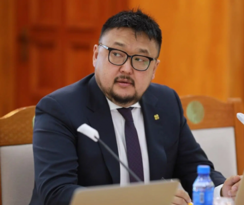 Шүлхийний вакцин ч шийдэж чаддаггүй З.Мэндсайханыг Сангийн сайд болгохоор улсын эдийн засаг улам умаа хум болохгүй юу...