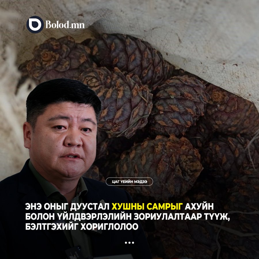 Энэ оныг дуустал хушны самрыг ахуйн болон үйлдвэрлэлийн зориулалтаар түүж, бэлтгэхийг хориглолоо