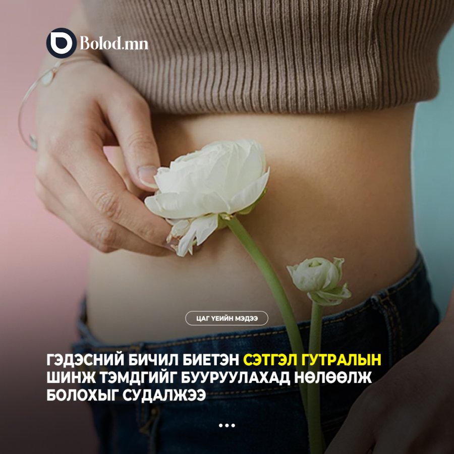 Гэдэсний бичил биетэн сэтгэл гутралын шинж тэмдгийг бууруулахад нөлөөлж болохыг судалжээ